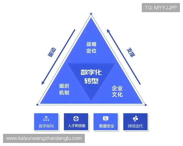 开云集团官网的数字化转型与未来发展方向