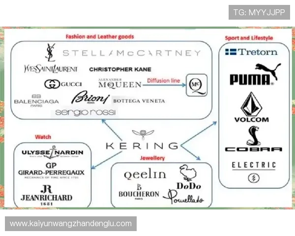 打开开云官网，深入认识开云的历史发展与市场定位的独特之处