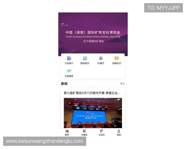开云app网页版赞助勒沃库森的合作背景与未来合作潜力全面解析