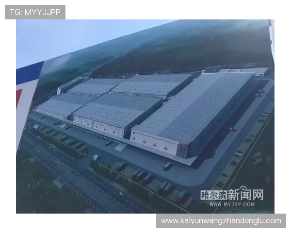 开云集团上海最新战略布局及未来发展规划全面解析